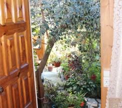 Двухместный стандарт в Эдем