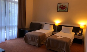 Стандарт + с балконом и видом на горы (две кровати по 80 см, кресло-кровать 80 см ) 3* в Golden hills