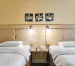 Бизнес "Twin" в Дом отель Apart