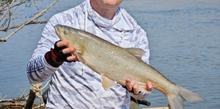 Камызякский район: Турбаза Золотой лотос