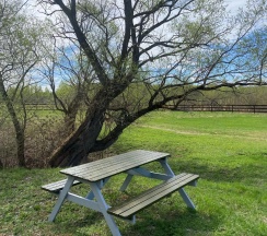 Дом у Ивы в Лес и Луга