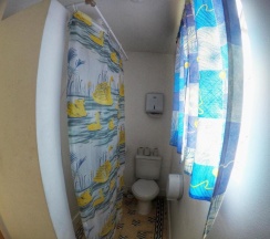 Двухместный номер Economy двуспальная кровать в Red Monkey Hostel: Barra Funda
