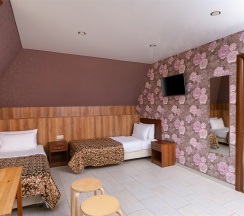 Apartment Mansard в Мореми
