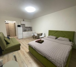 1-комнатные апартаменты студия ул. Спутников, 16/4 в DreamHouse