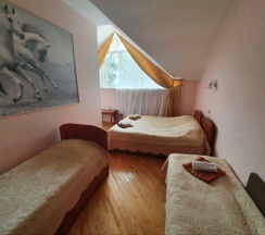 Стандарт 4х мест. в Black Wood