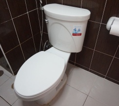 Двухместный номер Standard 2 отдельные кровати в Banana Park Hotel