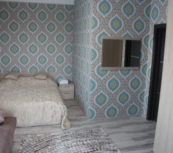 Номер стандарт с 1 двуспальной кроватью в Белые ивы