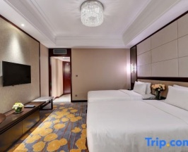 Двухместный номер Executive 2 отдельные кровати в Phoenix Hotel