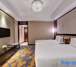 Двухместный номер Executive 2 отдельные кровати в Phoenix Hotel