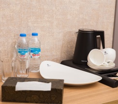 Двухместный стандартный номер в Пассаж