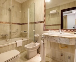 Одноместный номер в Hotel Arco Elvira