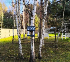 Дом в БлагоДать