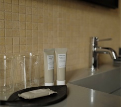Люкс Ганновер в Roka park collection