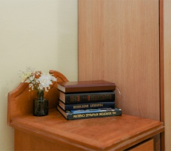 Стандартный 3х местный номер 2 этаж в Green oasis Vavilon
