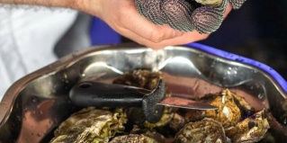 Архангельск: Отель Двина