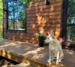 Двухместный домик в Wood place