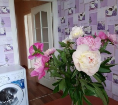Апартаменты c 1 комнатой с балконом в Апартаменты в микрорайоне Северный 6