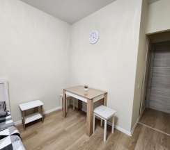 Апартаменты студия Квартира-студия у метро Котельники в The Loft Studio Moscow