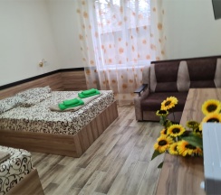 Номер на троих (1 двухспальн. кров. + 1 односп. +2 доп. места) в Подсолнух