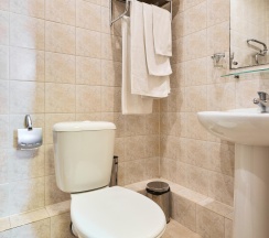 Номер стандарт с 2 односпальными кроватями в Термы Плюс