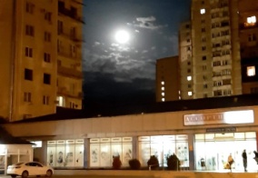 Апартаменты Мини-отель в Гагре