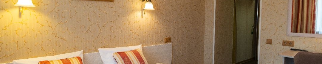 1-местный номер стандарт (с завтраком) в Сосновый Бор