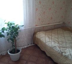 Номер эконом с 1 двуспальной кроватью (с полупансионом) в Гостевой дом