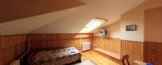 1-местный номер эконом (мансарда) в Торопа