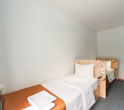 Стандарт с двумя односпальными кроватями в Eagle House Inn