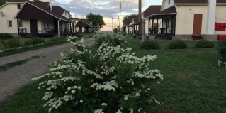 Астрахань: Турбаза Путина