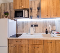 Купол «Петроглифы» в Aldi-Karelia