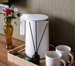 Люкс двухместный в Приозерный