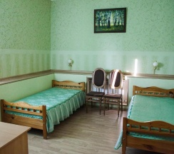 Номер стандарт с 2 односпальными кроватями (с завтраком, мансарда) в Наташа