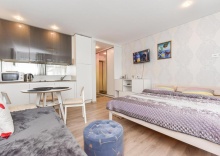 Студия в Tatjanos apartamentai