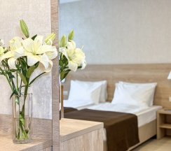 "Стандарт" Стандартный трехместный номер с 2 отдельными кроватями и дополнительным местом в Диона