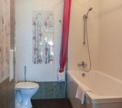 Полулюкс в VipHouse Apartments