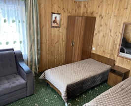 Трёхместный номер Standard с красивым видом из окна в Старый клен