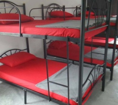 Кровать в общем номере в Monkey Samui Hostel