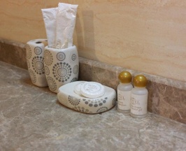 Одноместный номер Standard в ATB Grand hotel