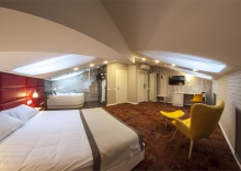 Double Comfort Mansard в Scandinavia