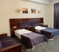 Стандарт в Artis plaza hotel