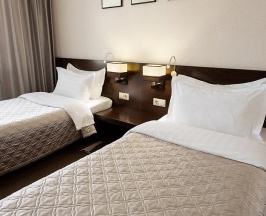 Бизнес (Business Twin) в Отель Центральный