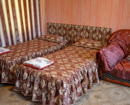 Стандартный номер  в Востряково