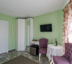 Стандартный без балкона в Серый гусь