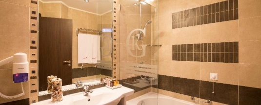 Одноместный номер Executive двуспальная кровать в Grami Hotel Sofia