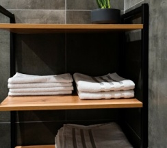 Люкс двухместный в Приозерный