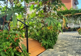 Гостевой дом Белая Дача в Благовещенской