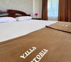 Номер комфорт с 1 двуспальной кроватью в Villa Victoria