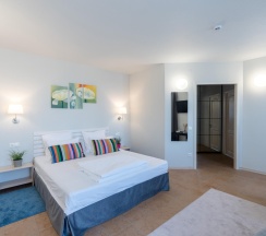 Номер стандарт улучшенный с 1 двуспальной кроватью в Loyal Guest House