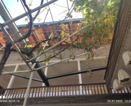 Кровать в общем номере в Гостевой дом Guest House Ozod